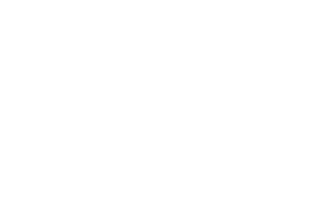 Skadden logo