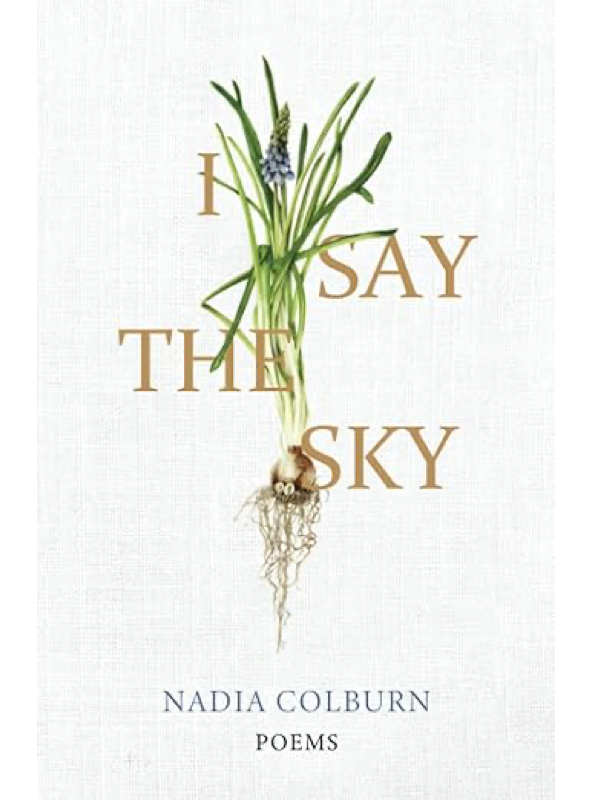 I Say the Sky cover by Nadia Colburn